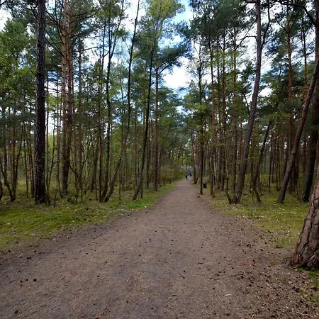 Апартаменты Slepowron *