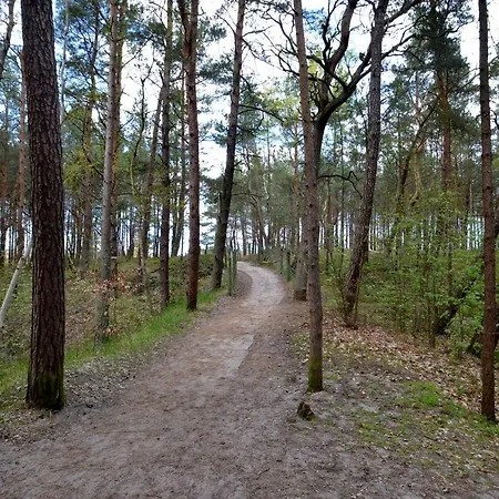 Slepowron Мендзыводзе