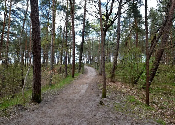 Slepowron Międzywodzie